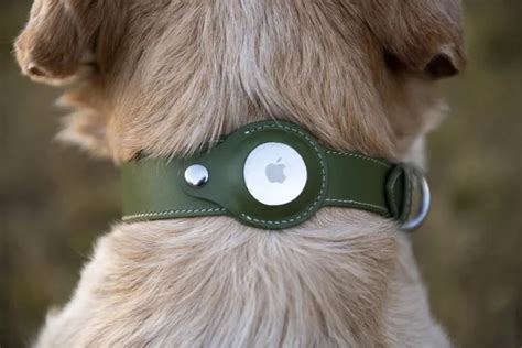 Ultimate AirTag Collar Accessories vs Customization in 2025: Power Up Your Pet's Safety