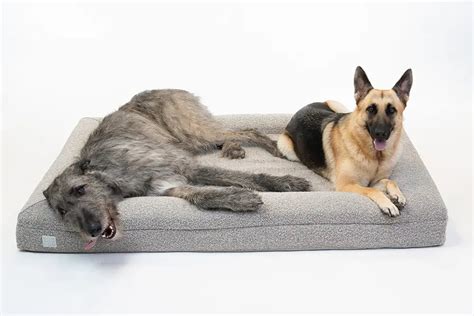 Ultimate Boucle Dog Bed for German Shepherds: A Comparison in 2025