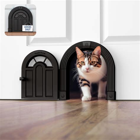 Ultimate Cat Door Installation and Setup Guide for 2025: Tips and Tricks