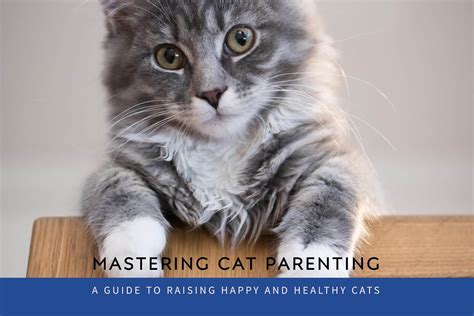 Ultimate Cat Parenting Guide: 12 Essential Tips & Tricks for 2025