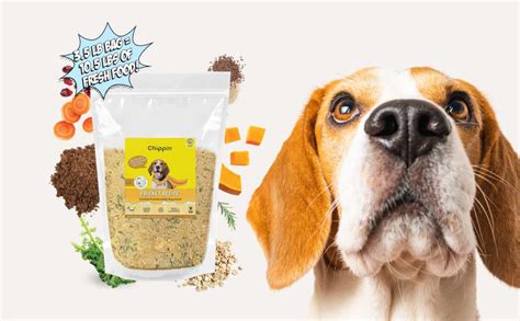 Ultimate Cricket-Based Pet Food Review: 2025 Showdown