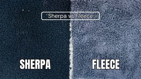 Ultimate Dog Bed Material Comparison: Boucle VS Fleece VS 2025 Trends