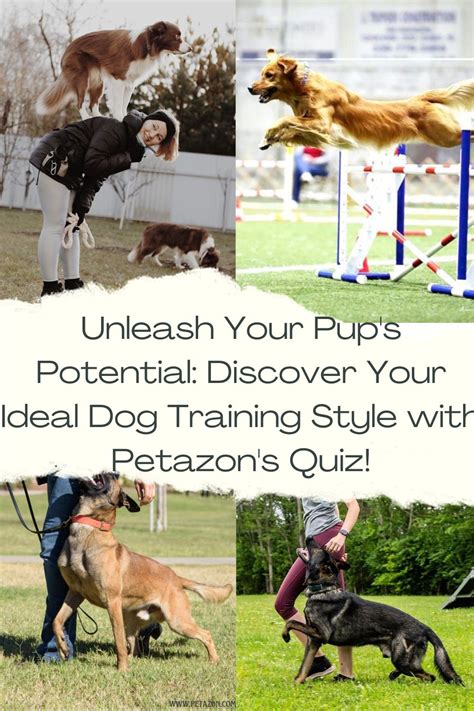 Ultimate Dog Exercise and Fitness Guide for 2025: Unleash Your Pup's Potential