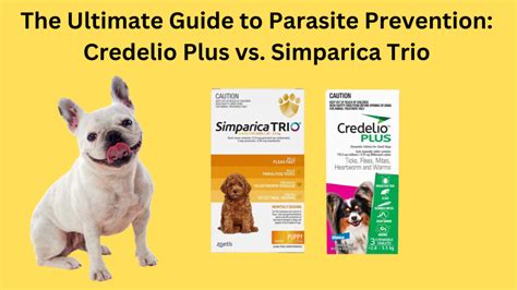 Ultimate Dog Parasite Control and Prevention Guide for 2025: VS. Not Enough Protection