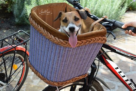 Ultimate Guide to Bike Baskets for Dogs: A Comprehensive Exploration of Safety, Comfort, and Convenience