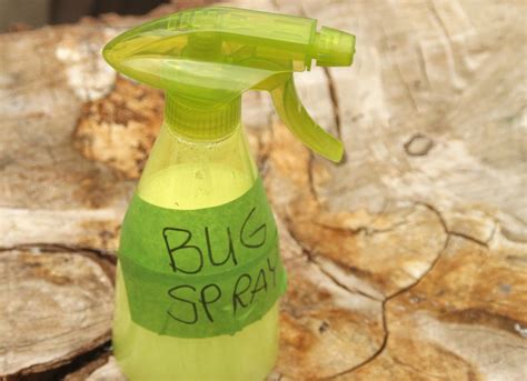 Ultimate Guide to Bug Spray for a Pest-Free Home