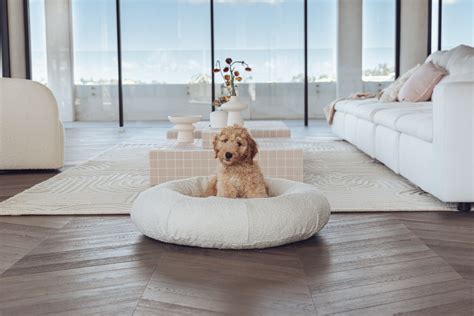 Ultimate Guide to Cleaning a Boucle Dog Bed: Step-by-Step Guide With 2025 Tips