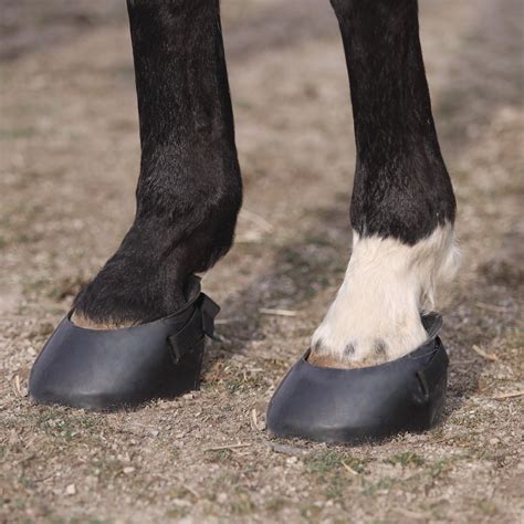 Ultimate Guide to Horse Hoof Boots: Protect Your Steed's Hooves with Confidence