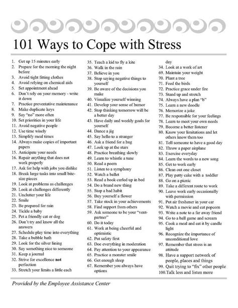 Ultimate Guide to Pet Anxiety and Stress Relief: 101 Coping Mechanisms in 2025