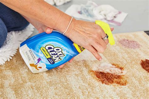 Ultimate Guide to Sparkling Clean Carpets with OxiClean Carpet Cleaner