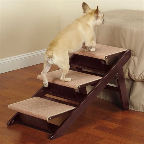 Ultimate Guide to Stairs for Dogs: Ensuring Accessibility and Mobility