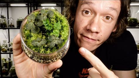 Ultimate Guide to Terrarium Packaging and Shipping: A Comprehensive Guide to 2025