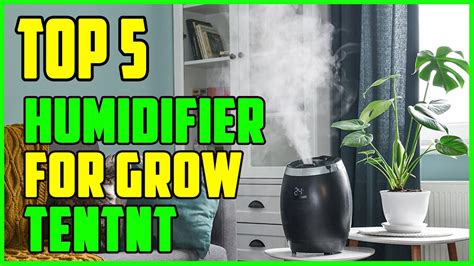 Ultimate Humidifier Dehumidifier Combo for Grow Tents: A Comprehensive Guide for Optimal Grow Room Control