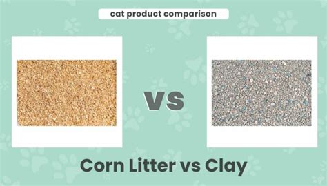 Ultimate Litter Box Showdown: Pros vs. Cons for 2025