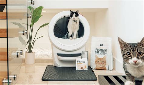 Ultimate Litter-Robot® Litter Comparison Guide: 2025 Edition