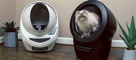 Ultimate Litter-Robot Showdown: 2025 Edition