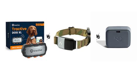 Ultimate Pet Tracking Comparison: Tractive VS Whistle VS Fi 2025