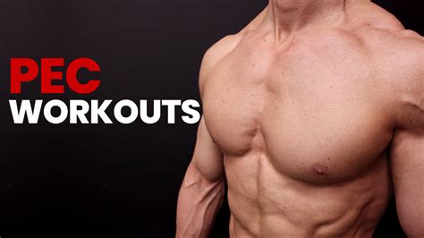 Ultimate Workout Guide for Pec Expansion: A Beginner's Adventure