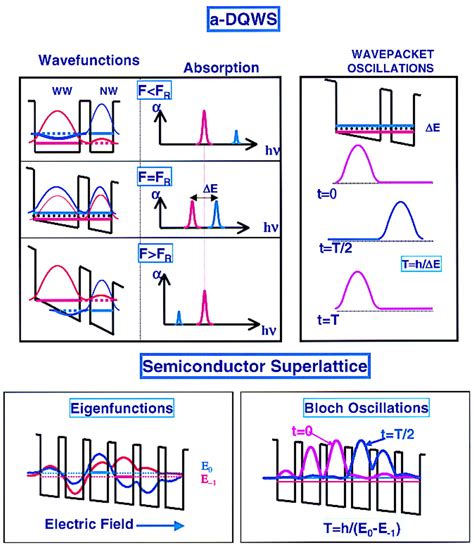 Ultrafast Phenomena in Semiconductors Doc