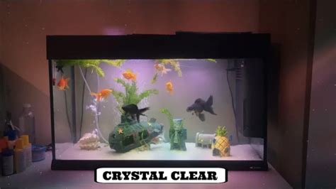 Ultraviolet Aquariums: A Comprehensive Guide to Lighting for Crystal-Clear Water