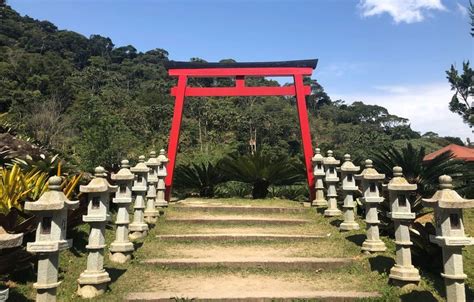 Um Santuário Verde em Meio à Natureza