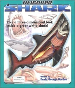 Uncover a Shark: An Uncover It Book (Uncover Books) Reader