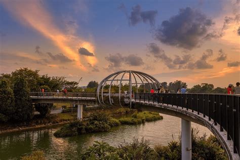 Uncover the Enchanting Allure of Punggol Waterway Park: A Serene Oasis in the Heart of North-East Singapore