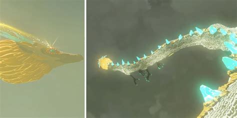 Uncover the Hidden Secrets of Hyrule's Dragons