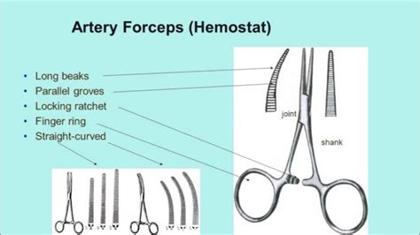 Uncover the Intricate Anatomy of Artery Forceps: A Comprehensive Guide