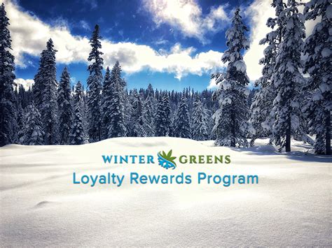 Uncover the Magic of Wintergreens Delivery: Your Winter Bliss