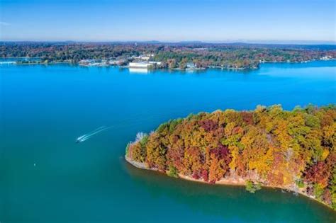 Uncover the Treasures of Wylie Lake