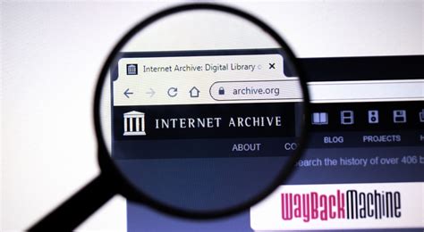 Uncovering the Digital Tapestry: The Organization of the Internet Archive