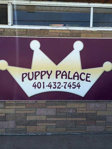 Uncovering the Essence of Puppy Palace