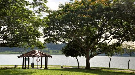 Uncovering the Hidden Gem: Shenton Bedok Reservoir