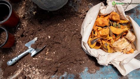 Uncovering the Magic of Compost