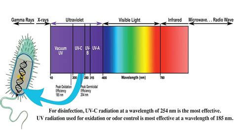 Uncovering the Science of UV Reactivity