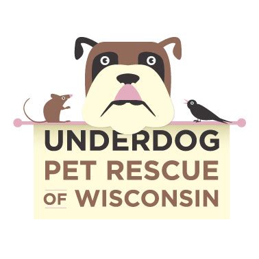 Underdog Pet Rescue of Wisconsin: A Haven for the Forgotten 4,000+ Homeless Animals Rescued