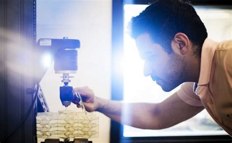 Undergraduate Degrees: Igniting Innovation
