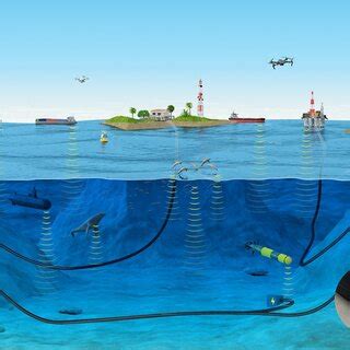 Undersea Fiber Communication Systems Reader