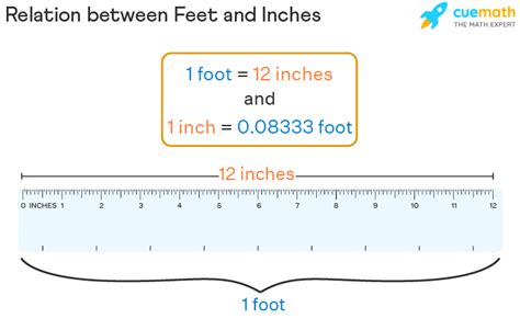 Understanding 4.5 Feet in Inches: A Comprehensive Guide