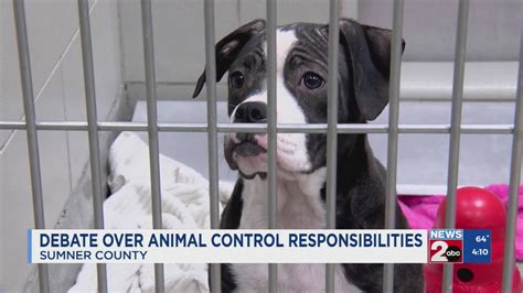 Understanding Animal Control Responsibilities