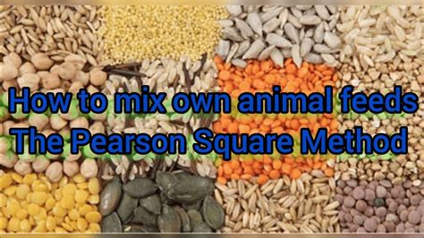 Understanding Animal Feed Mixing: