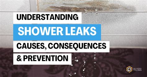 Understanding Astrid Wet Leaks: A Comprehensive Guide for Prevention and Management