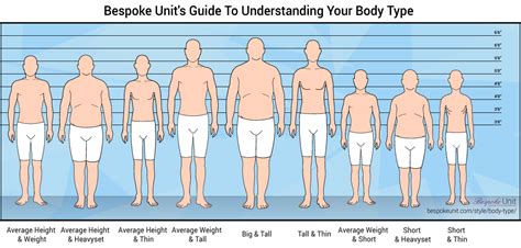 Understanding Body Types in BG3