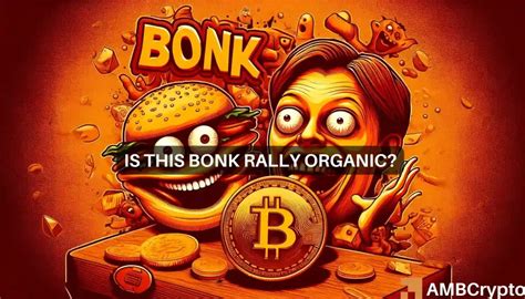 Understanding Bonk 2