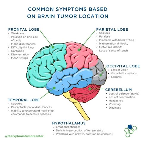 Understanding Brain Tumors