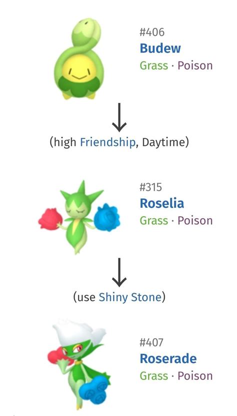 Understanding Budew's Evolution