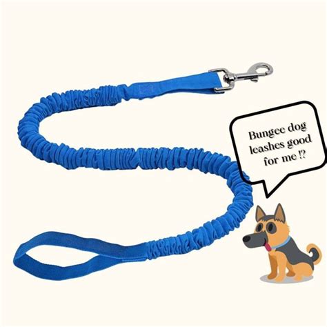 Understanding Bungee Dog Leashes