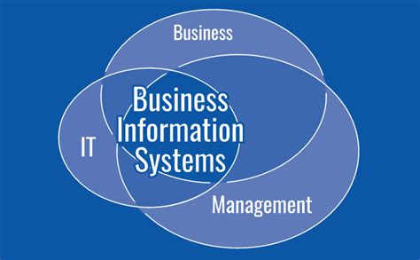 Understanding Business Information Systems (BIS)