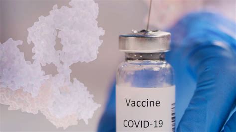 Understanding COVID-19 Vaccines